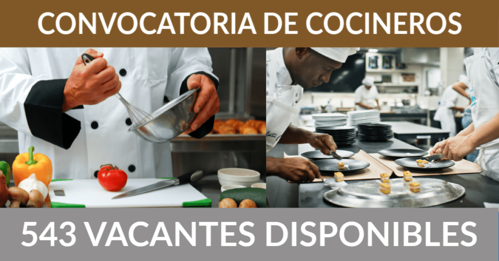 543 ofertas de trabajo de cocinero encontradas