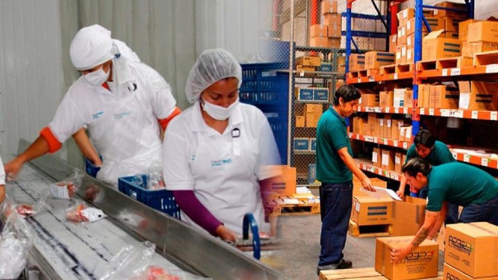 Operario de Producción- Aparatos Eléctricos y Electrónicos