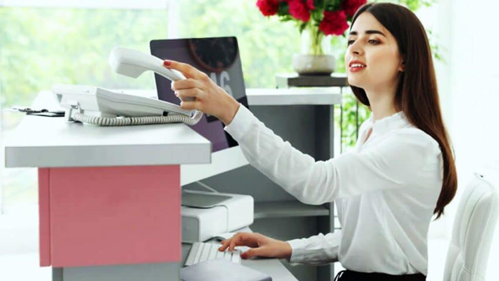 RECEPCIONISTA CON INGLES (SUSTITUCION)